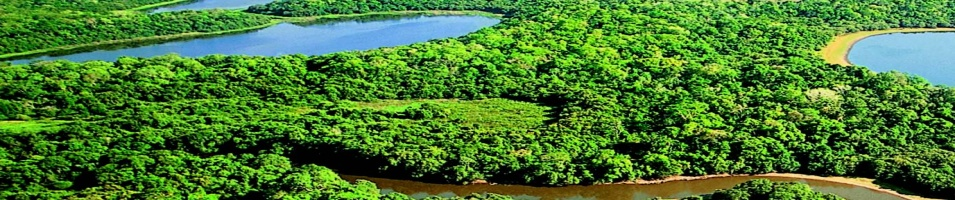 Pantanal Mato Grosso